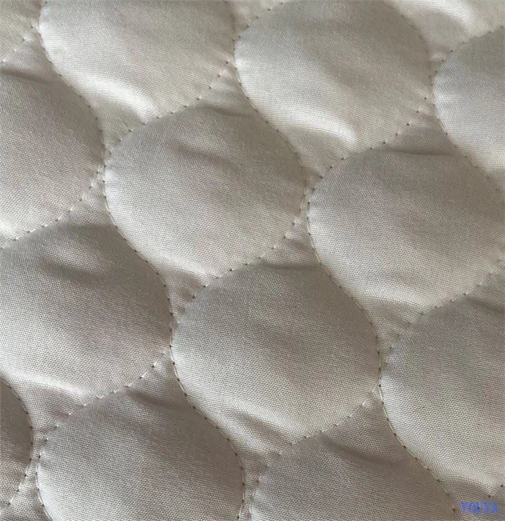 Crystal Velvet Quilting Mattress Pad