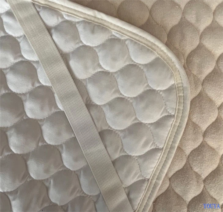 Crystal Velvet Quilting Mattress Pad